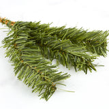 Bulk Lot of 36 Artificial 11" Canadian Pine Sprays Green Plant