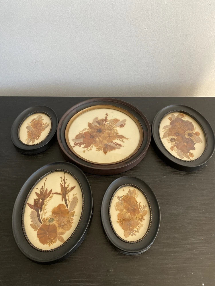 Set of 5 round wooden frames with pressed dried flower art, arranged in a group.