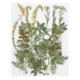 Dried Pressed Flowers Natural Leave Real Pressed Flowers Green Series Dried Flower