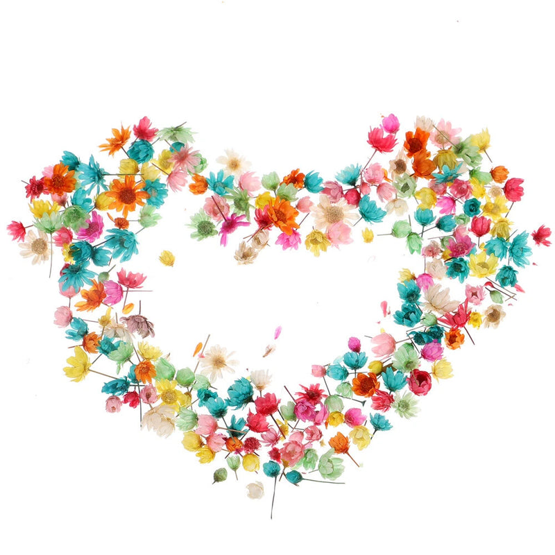 1 Bag DIY Dried Flowers DIY Candle Resin Mold Fillings Flowers Vase Flower Decor Dried Flower
