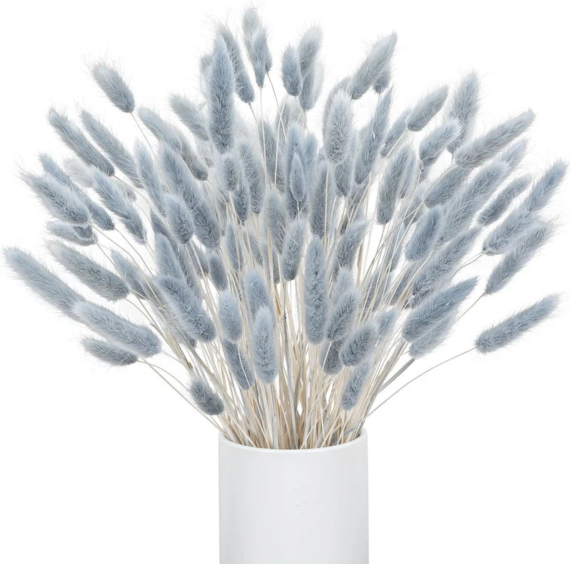 Virtugro16In 120Pcs Bunny Tails Dried Flowers Grey Blue Pampas Grass Rabbit Tail Pampas Grass