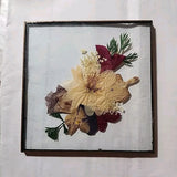 Dried Pressed FLOWERS in Between Clear Glass Panes 4x4 Square Window Decor Dried Flower
