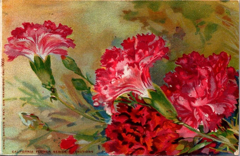 Vintage carnation flower postcard with red and pink blossoms and green stems