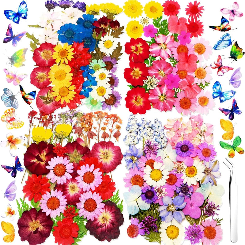 Bulk dried pressed flowers assortment with bright purple, red, yellow blooms and butterflies