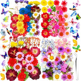 Dried Pressed Flowers for Resin Crafts, 183 PCS Bulk Real Dried Flower Kit and B Dried Flower