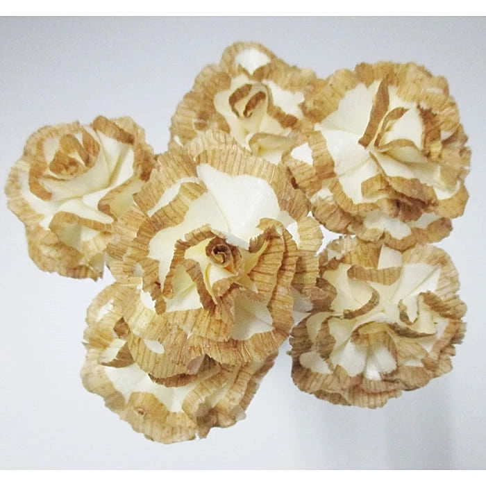 Artificial carnation flowers, cream with tan edges, for indoor fragrance decor