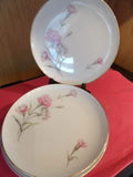 4# Royal Court Fine China Carnation Japan Salad, Dessert Plates 6" Carnation