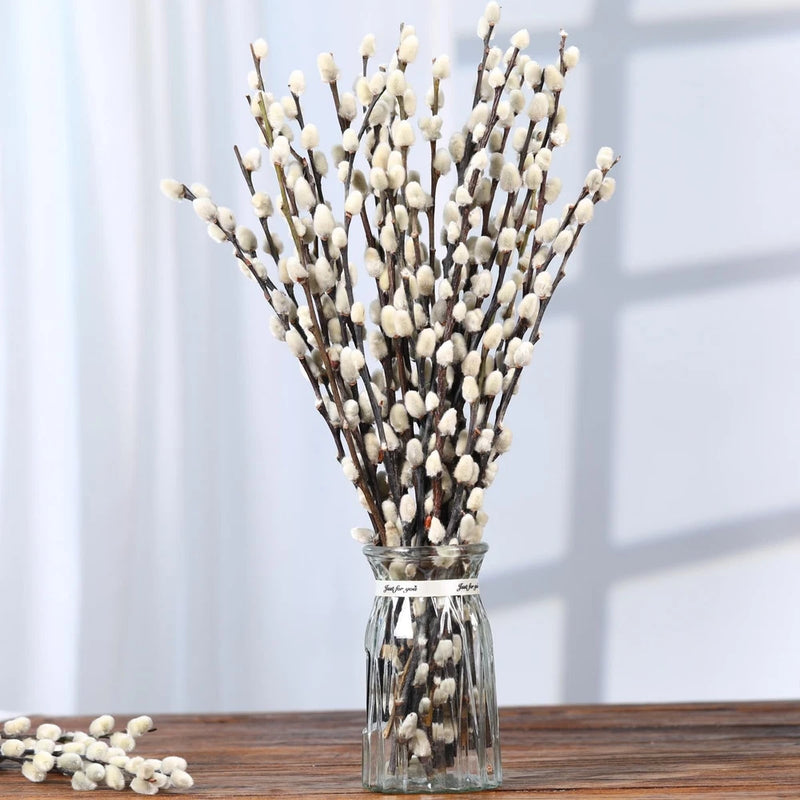 Dried pussy willow branches with white catkins, tied stems in a clear glass vase