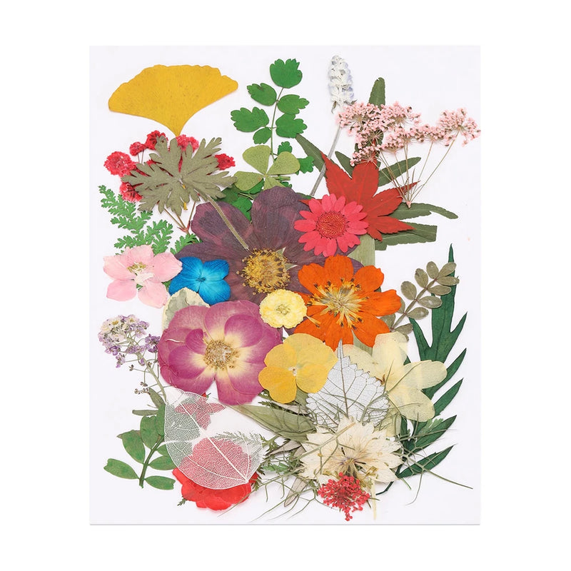 35 Pcs Dried Pressed Flower Leaves Bulk for Resin, Colorful Dried Flower