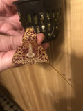 Rare orchid flower with speckled yellow petals and a small white lip