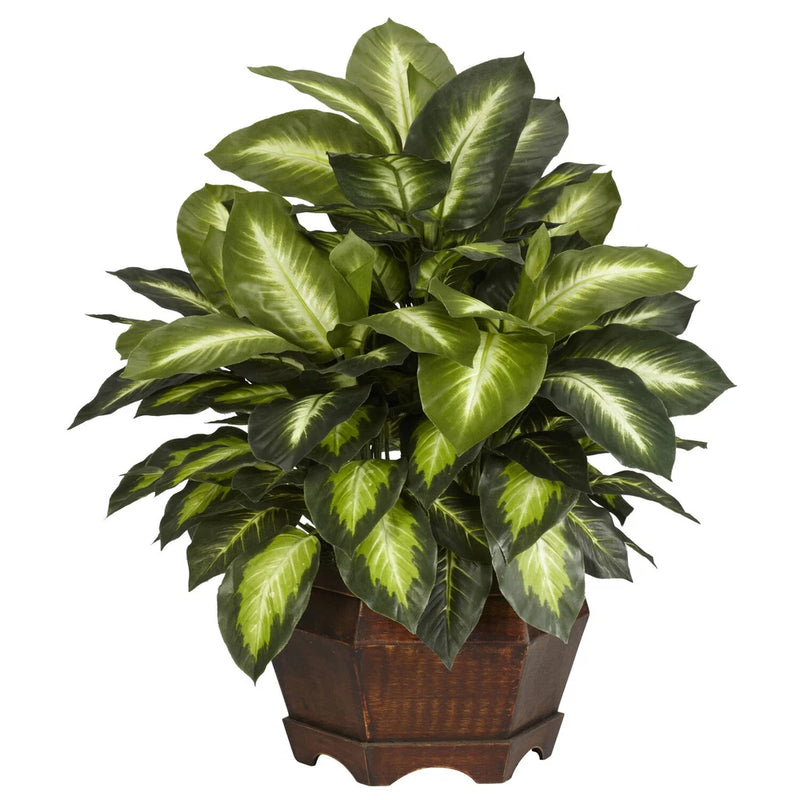 Artificial Dieffenbachia silk plant in brown pot, broad green leaves with cream veining