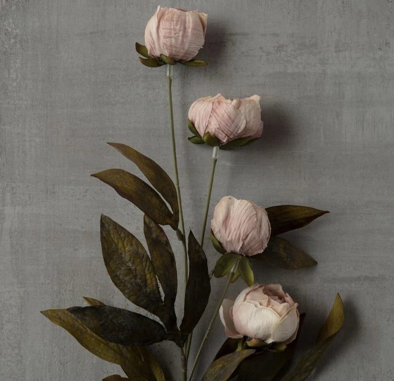Michael's Ashland Tan Viral Peony Stems Set of 8 New Flowering Plants