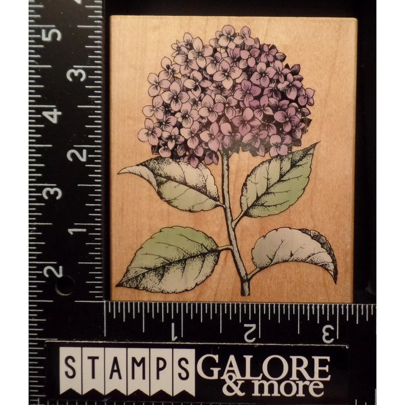 HERO ARTS RUBBER STAMPS H2121 HYDRANGEA WITH LEAVES GARDEN FLOWER #2152 Hydrangea
