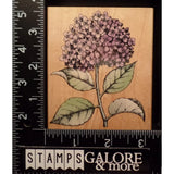 HERO ARTS RUBBER STAMPS H2121 HYDRANGEA WITH LEAVES GARDEN FLOWER #2152 Hydrangea