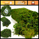 16oz Artificial Moss for Crafts & Decor, Faux Potted Plants, Fairy Garden, Weddi Green Plant