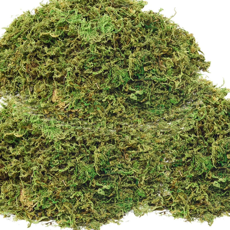 Artificial green moss ball potted plant with dense faux turf texture
