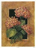 Barbara Mock Framed Hydrangea 13x17 in Hydrangea