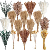 355PCS Dried Pampas Grass Bouquet Set Ð Brown Pampas Grass & White Pampas Pampas Grass