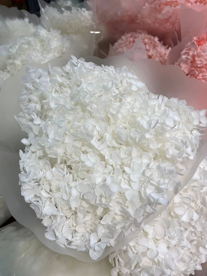 Preserved Hydrangeas, Dried Floral DŽcor White 4" Hydrangea