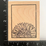 Great Impressions Sunflower Flower Frame H232 Wood Mounted Rubber Stamp Sunflower