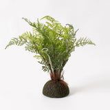 New Artificial GREEN FIDDLEHEAD FERN PLANT Drop In Root Ball Green Plant