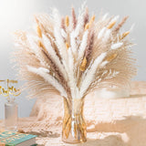Natural Pampas Grass 8kind Grass Mix Bouquet | Dried Pampas Bouquet for Wedding Pampas Grass