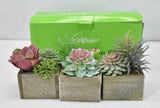 Mingfuxin Artificial Succulents Plants Mini Assorted Green Faux Flowers Decor Green Plant