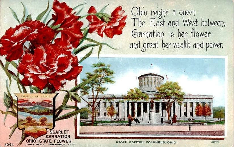 Postcard Scarlet Carnation Ohio State Flower Carnation