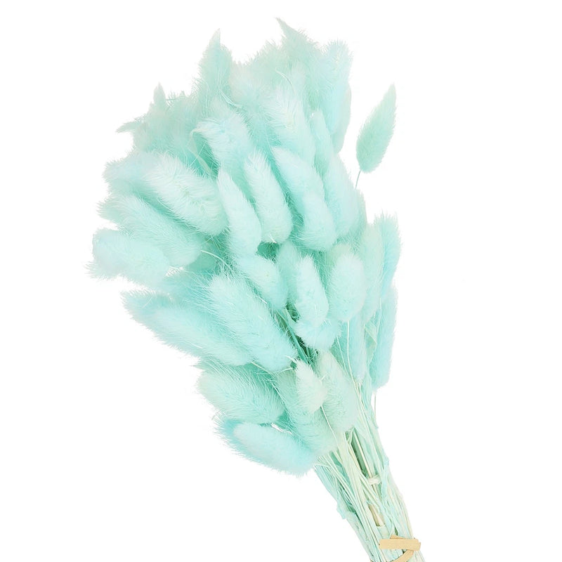 15.7in Bunny Tails Dried Flowers,80pcs Pampas Grass Decor Rabbit Tail,Light Blue Dried Flower