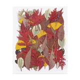 50 Pcs Dried Pressed Flower Leaves Bulk for Resin, Yellow Dark Red Dried Flower