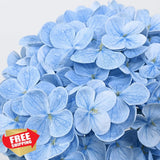 4 Pcs Blue Hydrangea Artificial Flowers 19.6" Latex Real Touch Faux Flowers Hydrangea