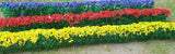 MP SCENERY 6 Flower Hedges N Gauge Flowering Plant Farm Railroad Layout Handmade Flowering Plants