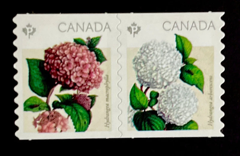 Canada MNH #2897-2898iii Hydrangeas Die-Cut Coil Se-Tenant Pair Stamps - 2016 Hydrangea