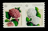 Canada MNH #2897-2898iii Hydrangeas Die-Cut Coil Se-Tenant Pair Stamps - 2016 Hydrangea