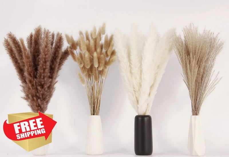 100 Stems Dried Pampas Grass Bouquet 17" White Brown Bunny Tail Pampas Grass