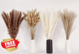100 Stems Dried Pampas Grass Bouquet 17" White Brown Bunny Tail Pampas Grass