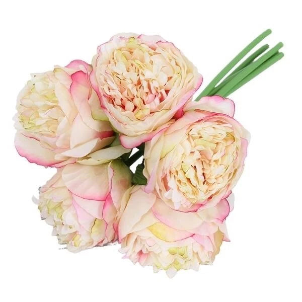 5 New Flower Heads of Silk Peonies Artificial Flowers Soft Cream & Pink Peony