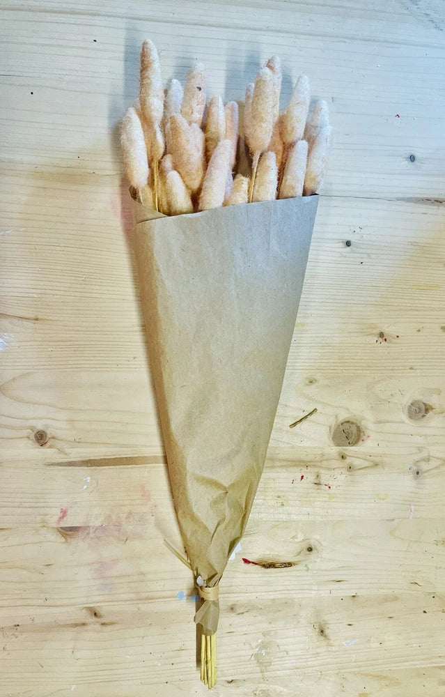 Dried bunny tail flower bouquet wrapped in kraft paper