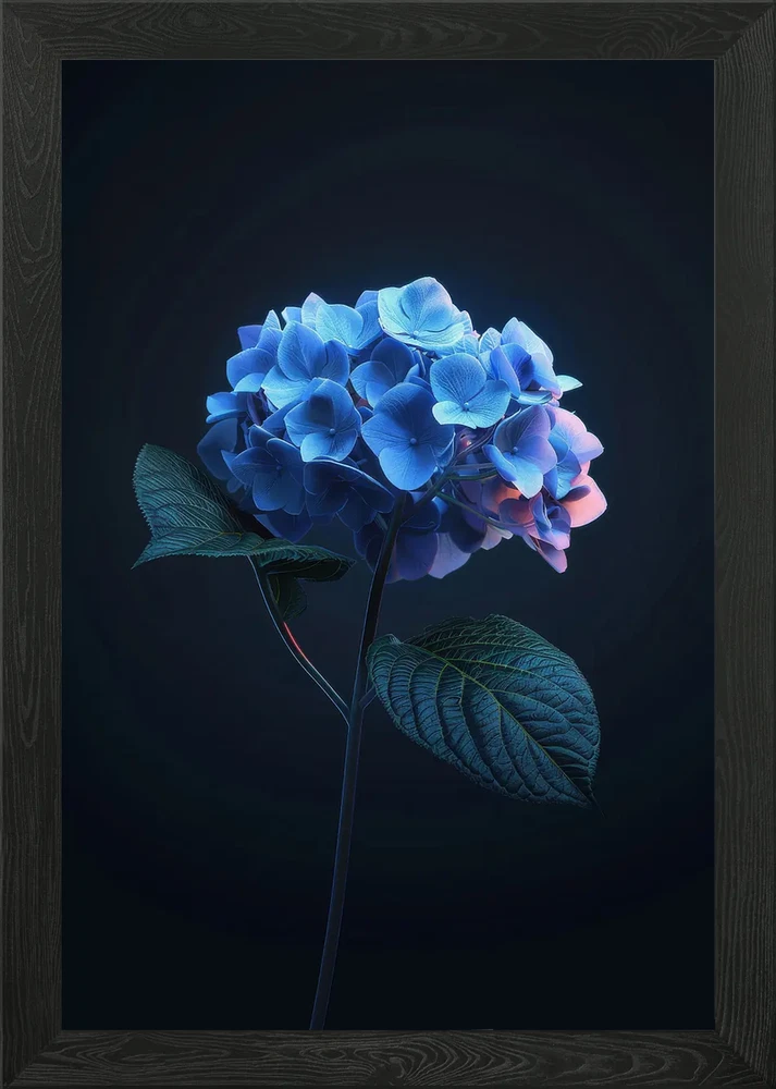 Elegant Hydrangea Flower Framed Wall Art Poster Canvas Print Picture Hydrangea