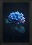 Elegant Hydrangea Flower Framed Wall Art Poster Canvas Print Picture Hydrangea