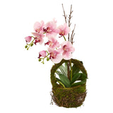 Phalaenopsis Orchid Artificial Arrangement In Twig Basket Decor Green Plant