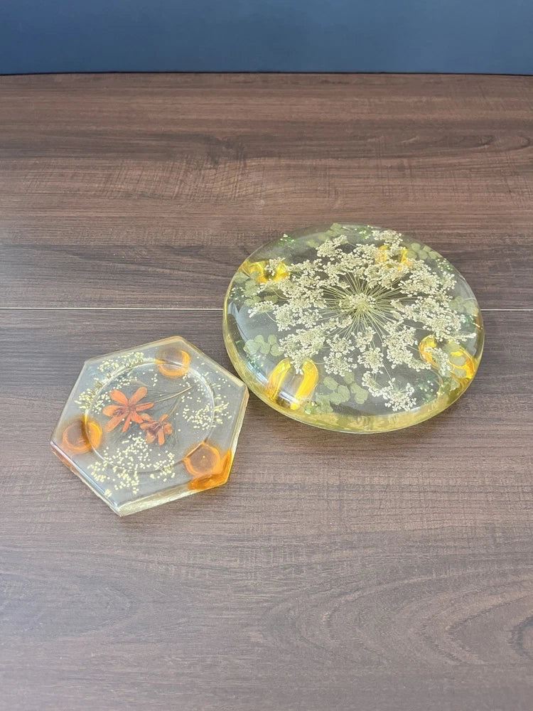 Vintage lucite coaster set of 2 with pressed dried flowers, round and square