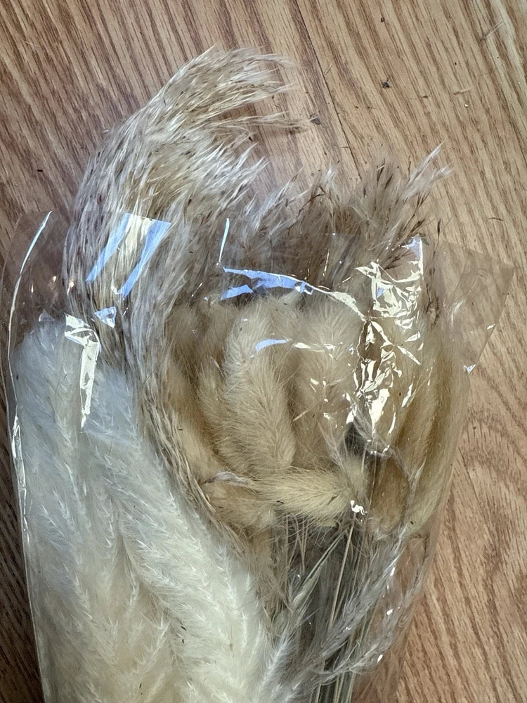 Dried Pampas Grass & Bunny Tails Bouquet Ð Natural Decorative Stems Pampas Grass