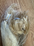 Dried Pampas Grass & Bunny Tails Bouquet Ð Natural Decorative Stems Pampas Grass