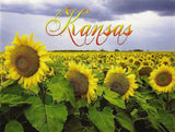 Postcard Kansas Sunflower Field State Flower MINT Unused Sunflower