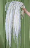 Glicrili 10Pcs Natural Dried Wisteria Hanging Flowers - 23" Bleached White Dried Flower