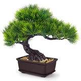Der Rose 8'' Artificial Bonsai Tree Small Fake Potted Plants 8in, Green-pine Green Plant