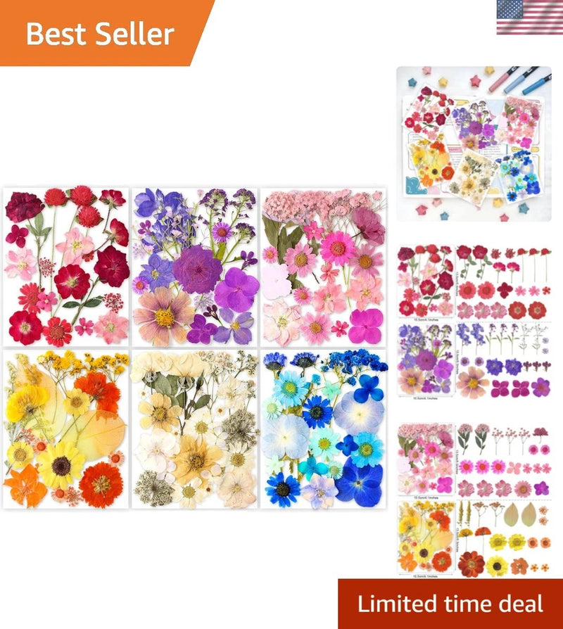 Pressed dried flowers assortment for resin craft, mixed colors, assorted shapes