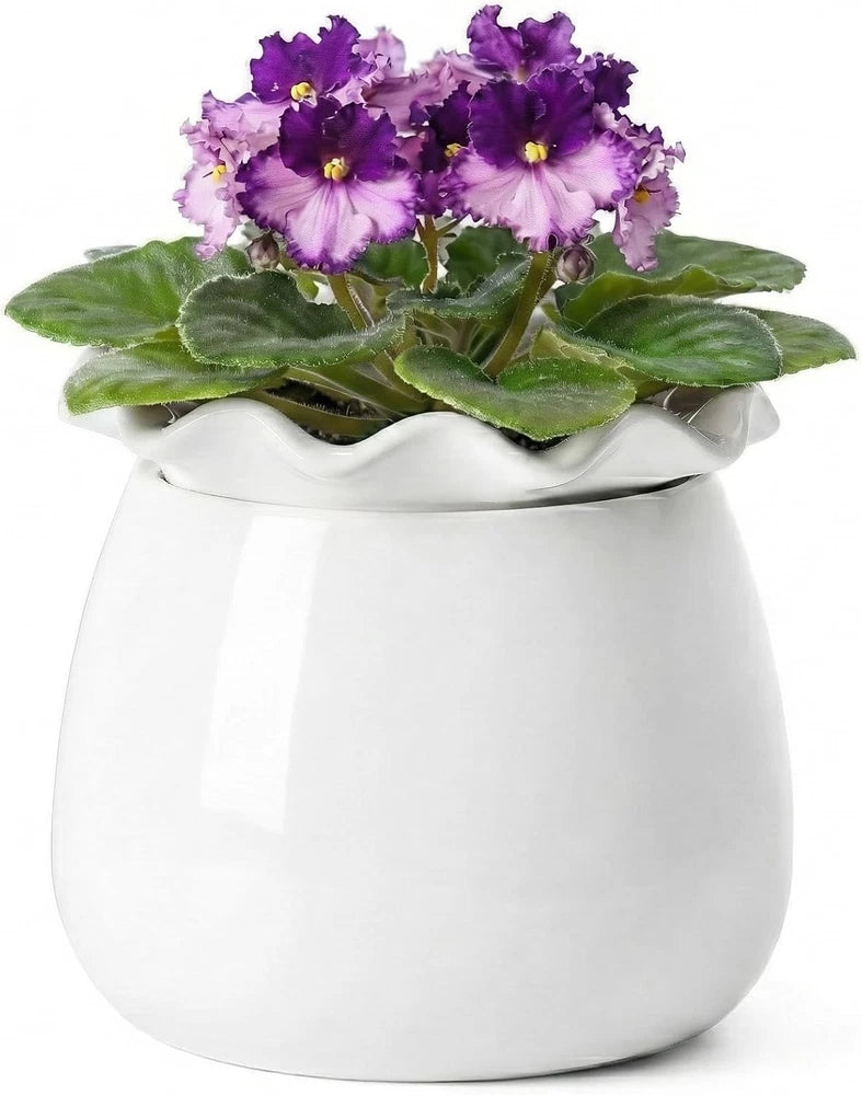 Fayoula Self Watering Plant Pot, 6 Inch African Violet Pots Maintenance, Ceramic Flowering Plants