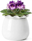 Fayoula Self Watering Plant Pot, 6 Inch African Violet Pots Maintenance, Ceramic Flowering Plants